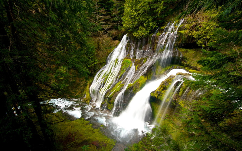 waterfalls, creek, skamania, washington, forest, green, unique, 2K, falls, 3d and abstract, panther, county