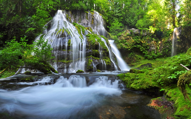 waterfall, falls, valley, wind, 1080P, green, hd, washington, scalonia, panther, creek