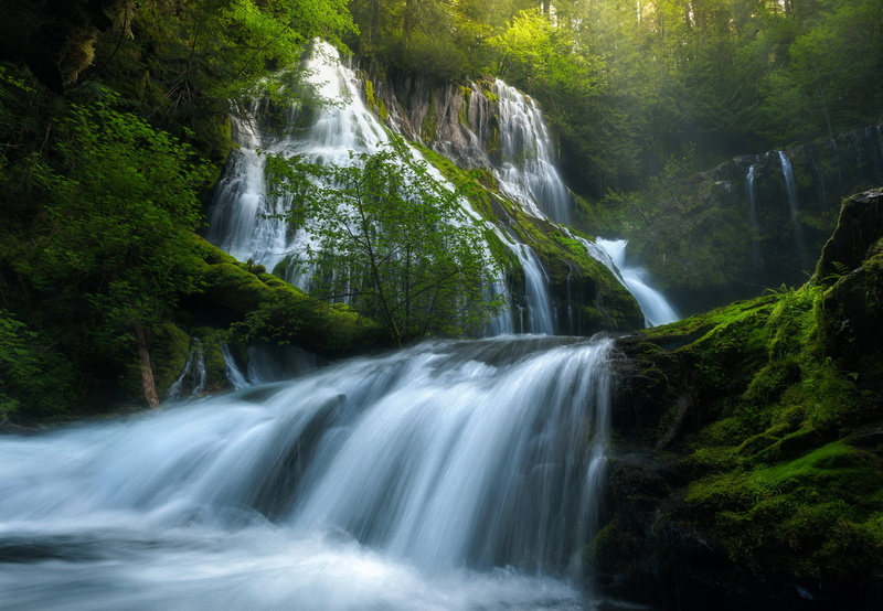 summer, water, outdoors, rock, spring, rock - object, no people, waterfall, greens, plant, environment, long exposure, beauty in nature, falling water
