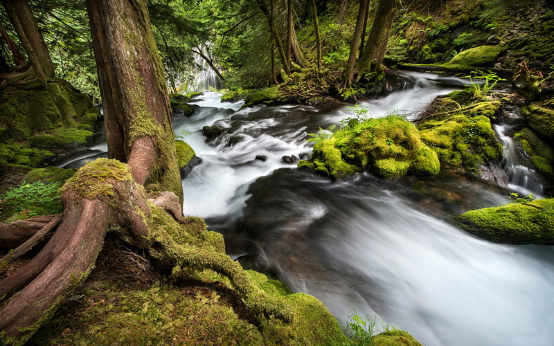 cascades, panther, creek, river, washington, 1080P, hd, columbia, desktop