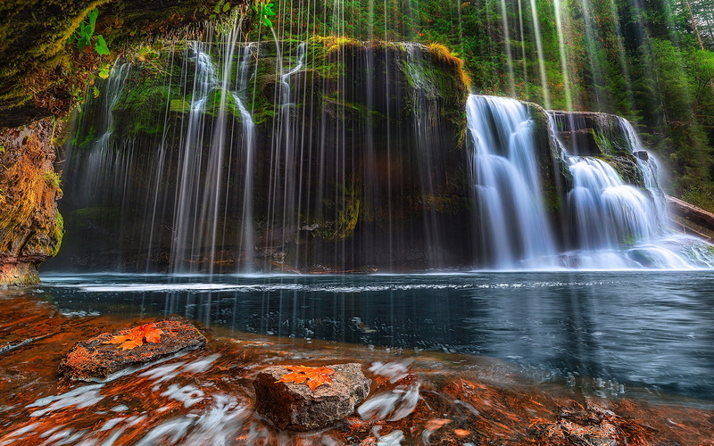 waterfall, outdoors, forest, tree, non-urban scene, hd, flowing water, united, flowing, beauty in nature, 2K, falls, washington, rainforest, splashing