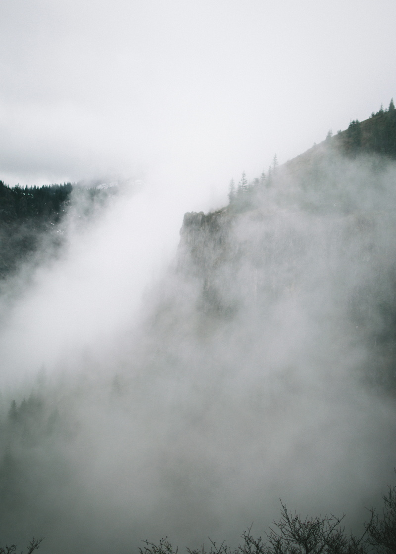 trees, land, day, smog, no people, beauty in nature, tranquil scene, tree, cloud - sky, plant, sky, 5K, outdoors, scenics - nature, landscape, remote
