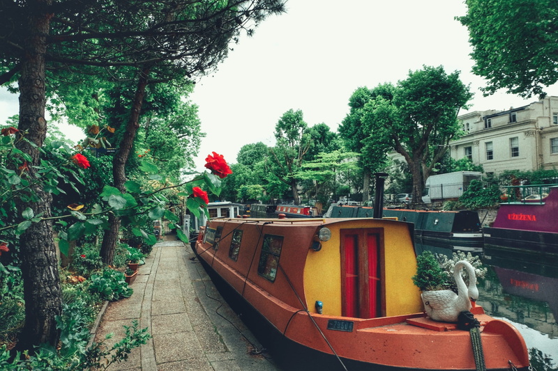 little venice, transportation, 1080P, nautical vessel, water, no people, city, sky, plant, clear sky, architecture, growth, canal, roses, outdoors, nature