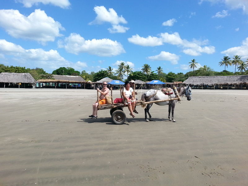 summer, horsedrawn, two people, animal wildlife, herbivorous, cart, tree, Nicaragua, fisherman, vertebrate, nature, landscape, mode of transportation, Beach