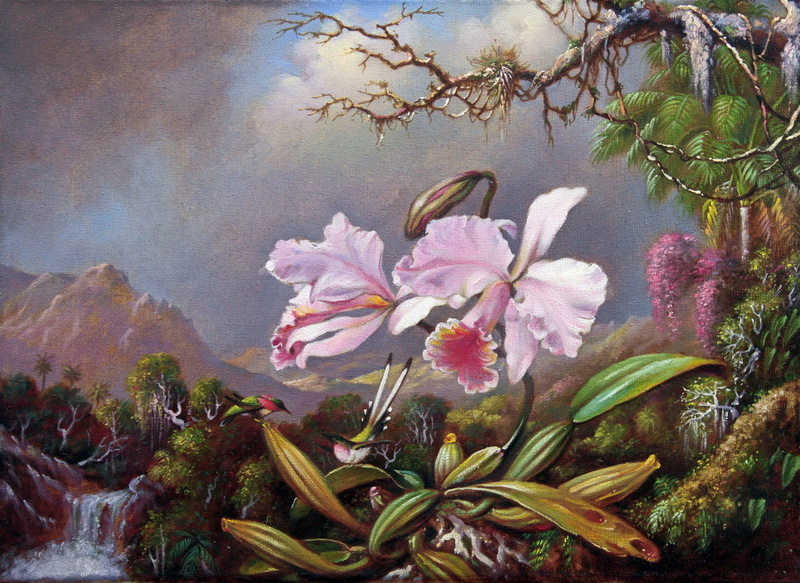 1080P, painting, Orchids and hummingbirds, Martin Johnson Heade, Martin Johnson Head, canvas, picture