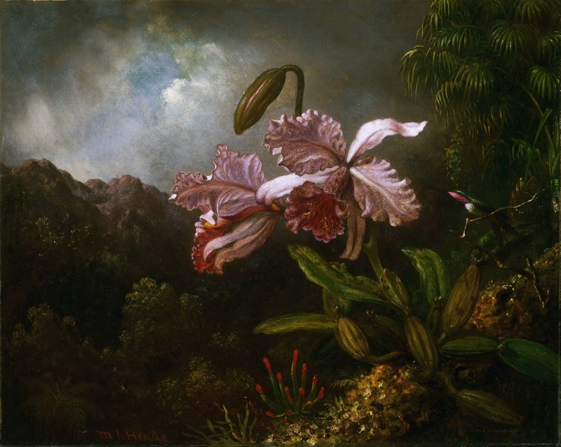 Martin Johnson Heade, painting, picture, 2K, Martin Johnson Head, Orchids on a background of mountains