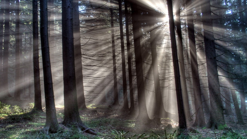 download nature  full size 1920x1080, 1080P