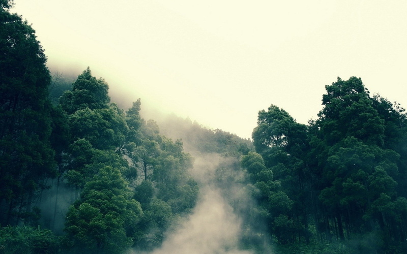 1080P, windows backgrounds nature for pc 1920x1200