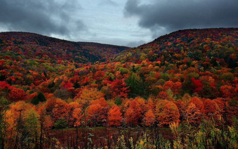 windows backgrounds nature for pc 1920x1200, 1080P