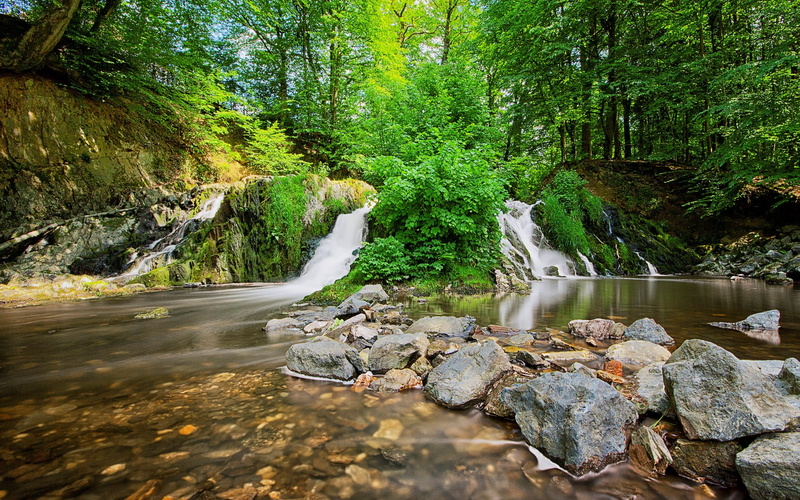 flowing, nature, tree, beauty in nature, full hd nature  1080p desktop  1920x1200, rock - object, motion, flowing water, outdoors, plant, 1080P, stream - flowing water