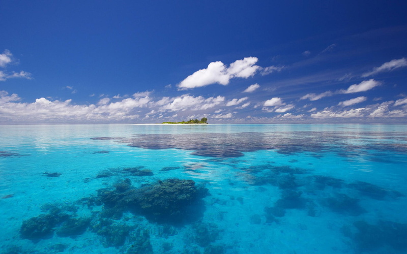 1080P, full hd nature  1080p 1920x1200