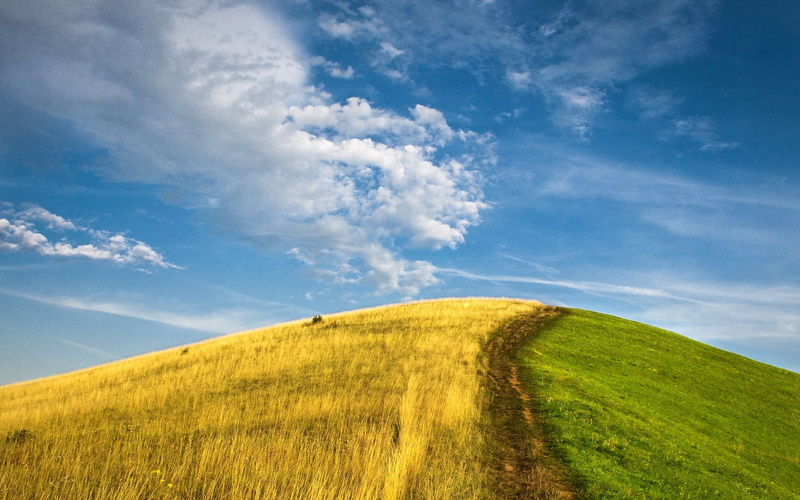cloud - sky, green color, agriculture, outdoors, blue, rolling landscape, field, tranquil scene, grass, scenics - nature, tranquility, plant, landscape