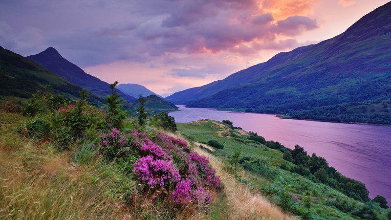 1080P, download nature  for pc 1920x1080