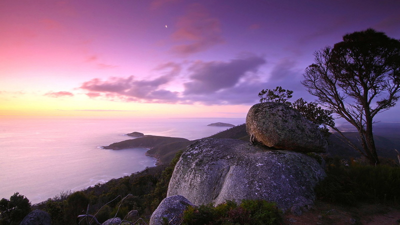 1080P, download nature  for pc 1920x1080