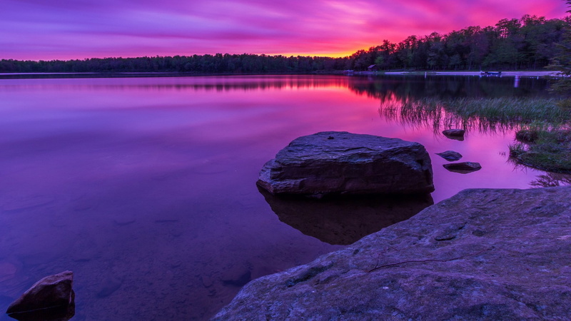 1080P, download nature  for pc 1920x1080