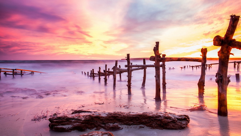 download nature  for pc 1920x1080, 1080P