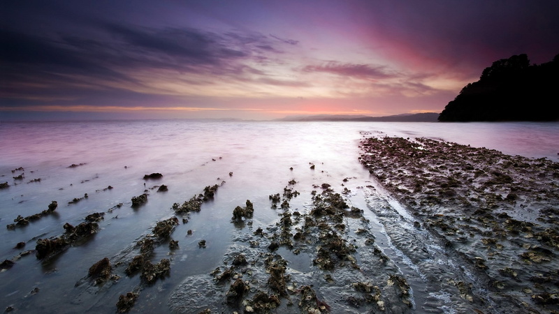 1080P, download nature  for pc 1920x1080