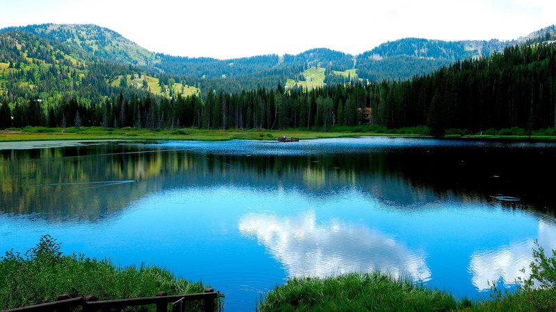 non-urban scene, nature, green color, reflection, lake, no people, nature full hd image 1920x1080, 1080P, outdoors, growth, forest, water, day, plant