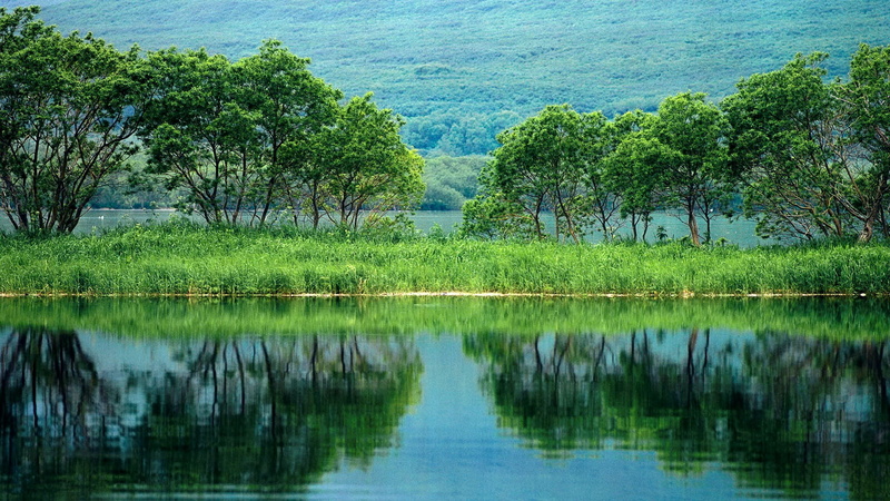 nature full hd image 1920x1080, tranquility, green color, waterfront, reflection, plant, growth, day, tree, water, beauty in nature, 1080P, grass, lake