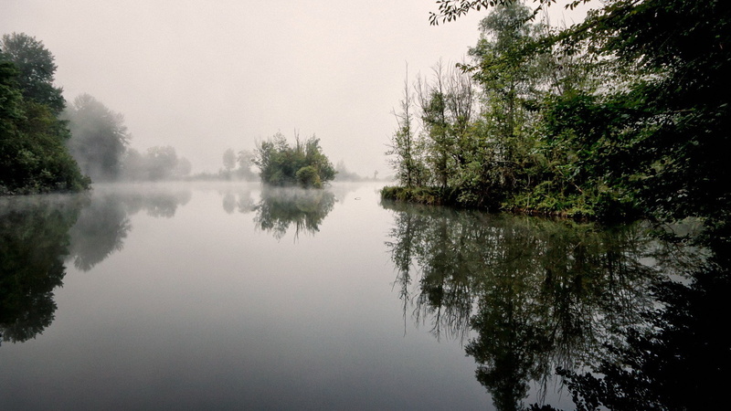growth, scenics - nature, tree, plant, fog, idyllic, tranquil scene, sky, reflection, 1080P, nature full hd image 1920x1080, non-urban scene, outdoors