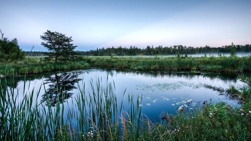 sky, growth, tree, beauty in nature, no people, nature, outdoors, reflection, water, green color, land, grass, scenics - nature, lake, forest, reflection lake