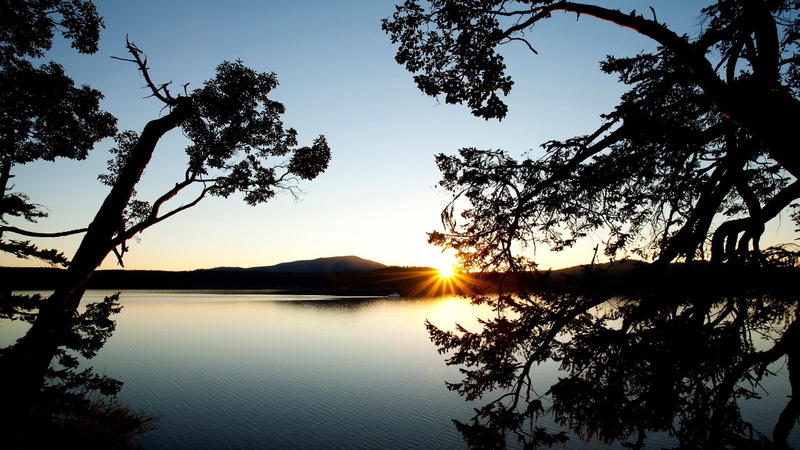 scenics - nature, reflection, sun, sunlight, branch, plant, tranquil scene, water, lens flare, lake, sunbeam, nature, idyllic, nature full hd image 1920x1080