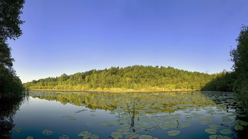 1080P, nature full hd image 1920x1080