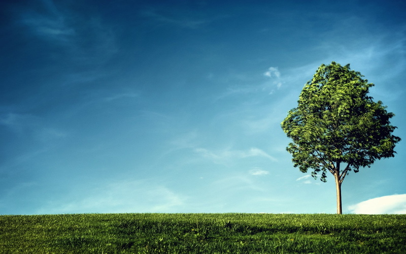 1080P, full hd nature backgrounds 1920x1200