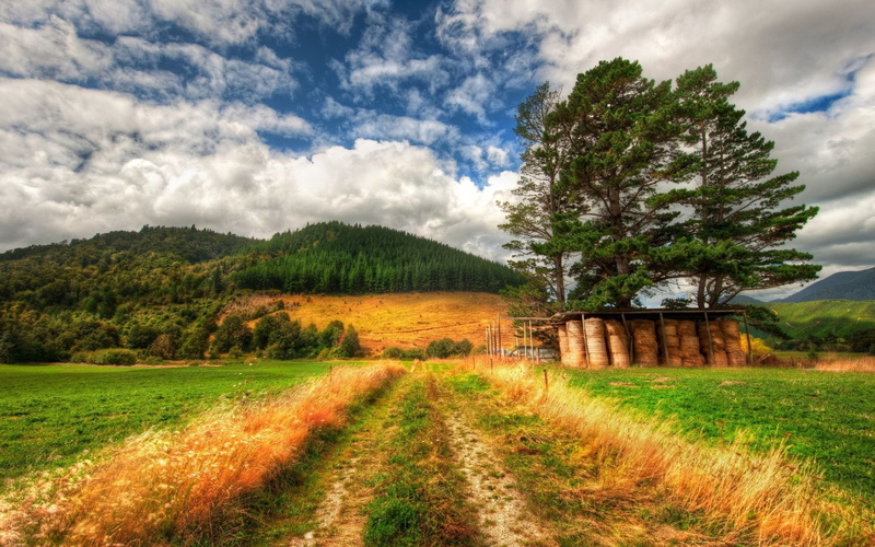 1080P, full hd nature backgrounds 1920x1200