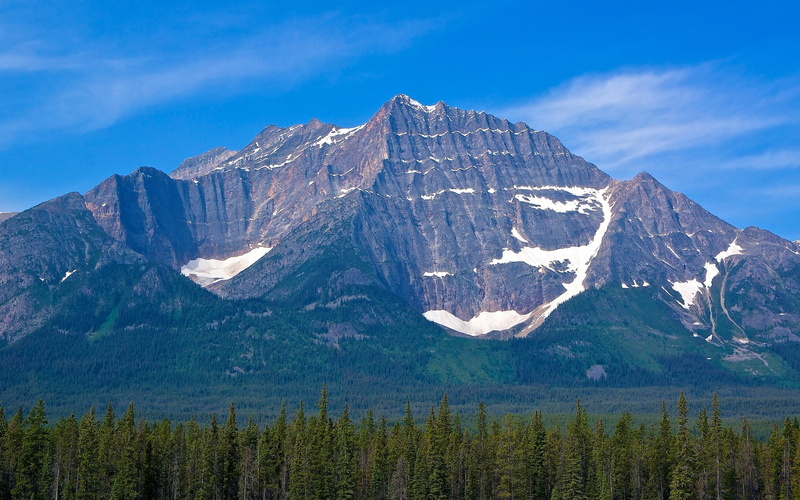 no people, solid, landscape, coniferous tree, sky, mountain range, rock - object, environment, mountain peak, plant, land, pine tree, rock, scenics - nature