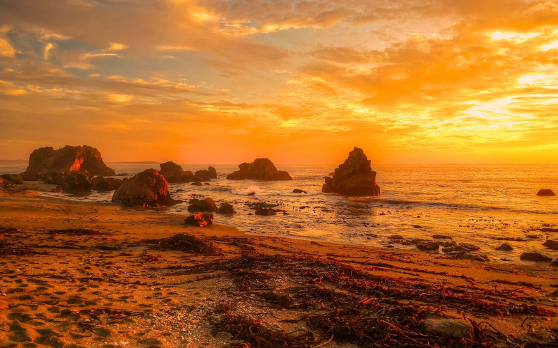 full hd nature backgrounds 1920x1200, 1080P