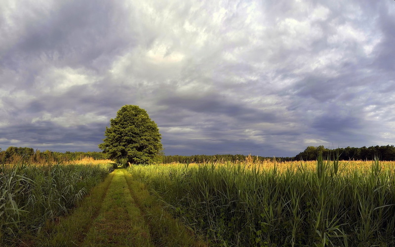 1080P, full hd nature backgrounds 1920x1200
