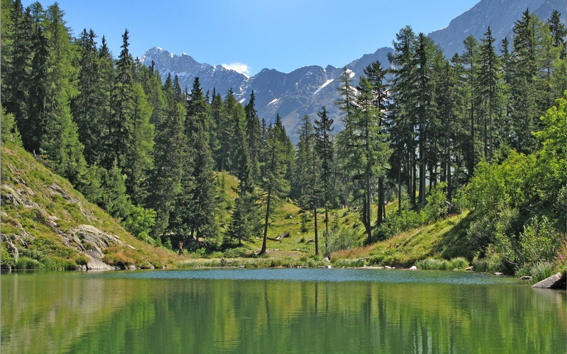 tranquility, waterfront, outdoors, nature, pine tree, land, woodland, scenics - nature, green color, no people, tranquil scene, reflection, tree, mountain