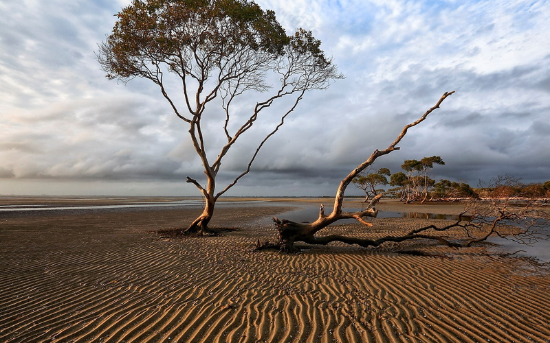 download full size nature  1920x1200, 1080P