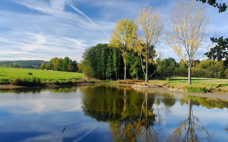 lake, tree, green color, sky, day, nature, tranquility, outdoors, scenics - nature, reflection, cloud - sky, remote, water, tranquil scene, idyllic, no people