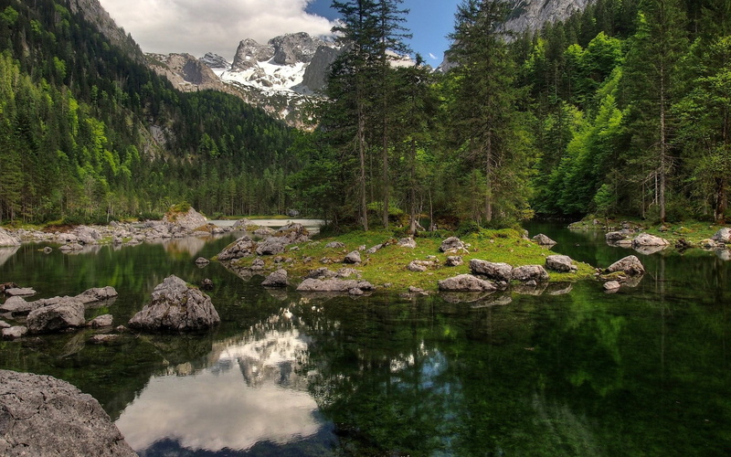 plant, flowing, rock - object, solid, no people, non-urban scene, tranquility, 1080P, rock, tree, water, green color, reflection, nature, growth, tranquil scene