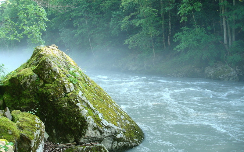 1080P, download full size nature  1920x1200