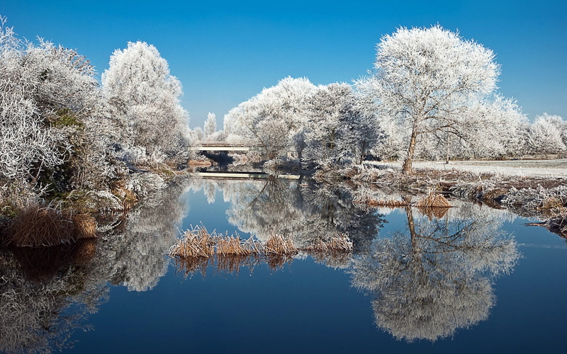 download full size nature  1920x1200, 1080P