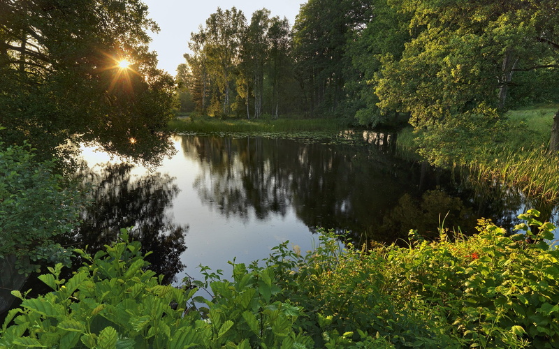 1080P, download full size nature  1920x1200