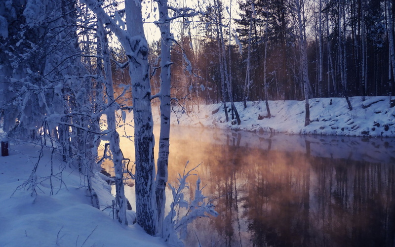 day, tranquil scene, tranquility, snowing, land, 1080P, non-urban scene, trunk, woodland, no people, forest, frozen, beauty in nature, winter, plant, download full size nature  1920x1200