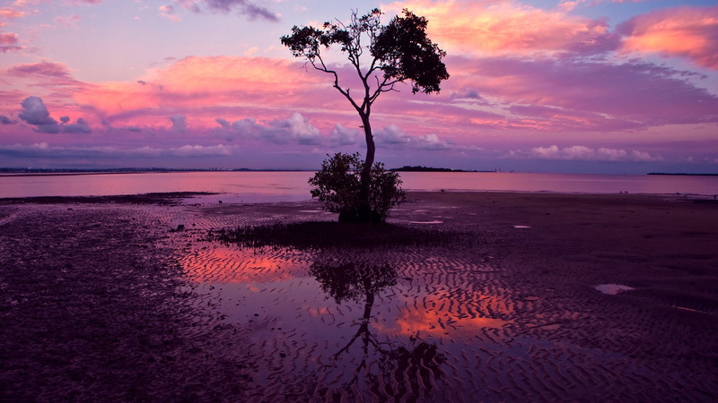pc  nature hd pictures 1920x1080, reflection, nature, tranquility, horizon, orange color, beauty in nature, water, plant, scenics - nature, sea, outdoors