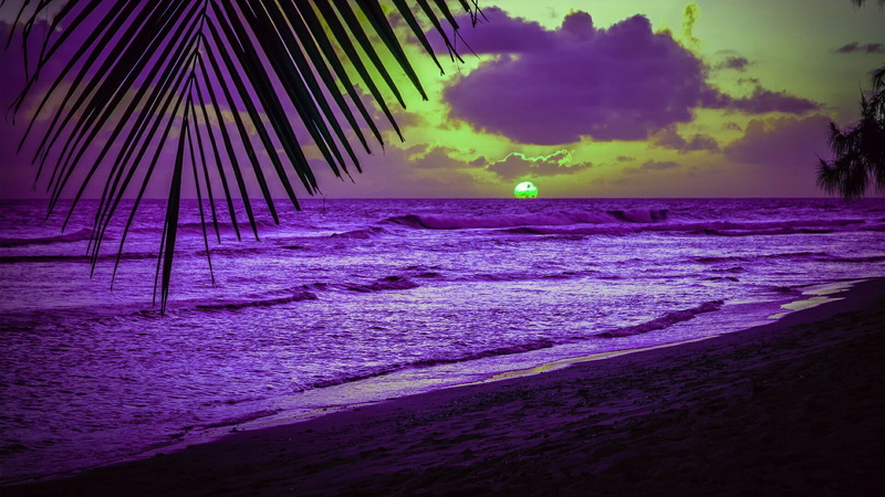 scenics - nature, sky, beauty in nature, pc  nature hd pictures 1920x1080, tree, land, motion, cloud - sky, outdoors, sunset, 1080P, no people, horizon