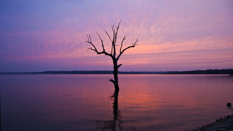 branch, pc  nature hd pictures 1920x1080, sky, tranquil scene, nature, scenics - nature, beauty in nature, outdoors, no people, silhouette, reflection