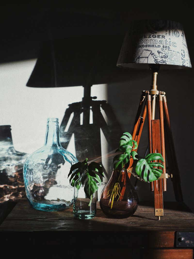 food, wood - material, photography, near, lighting equipment, sony photography, focus, design, lamp, still life, sunlight, nature, vase, glass - material