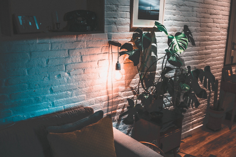 view, cheese, plant, day, brick wall, room, living room, couch, 5K, water, window, spain, no people, nature, barcelona, wall - building feature, lovely