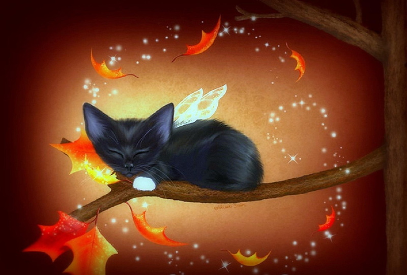 sleeping, fantasy, butterfly-wings, kitten, black-cat, 1080P, animal, tree, autumn, splendor, fall, leaves, halloween