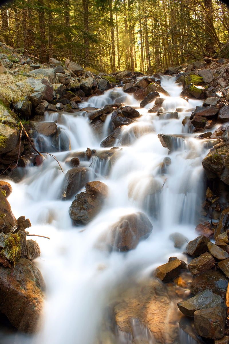 outdoors, forest, rock - Object, lapse, waterfall, Lake  Central, beauty In Nature, river, Long  Exposure, photography, scenics, Mountain, leaf, freshness