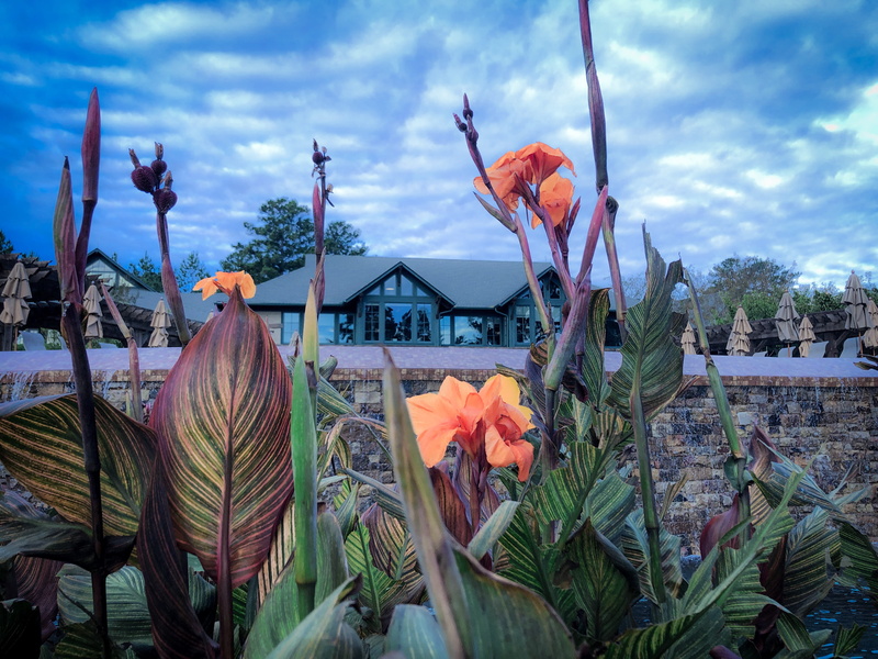 built structure, human, 4K, plant, pollen, person, nature, aloe, amaryllidaceae, no people, sky, araceae, blossom, day, Lake Club, acanthaceae, building exterior