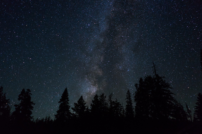 no people, nightscape, yosemite valley, night, stars, night sky, nature, fir tree, low angle view, coniferous tree, beauty in nature, yosemite national park