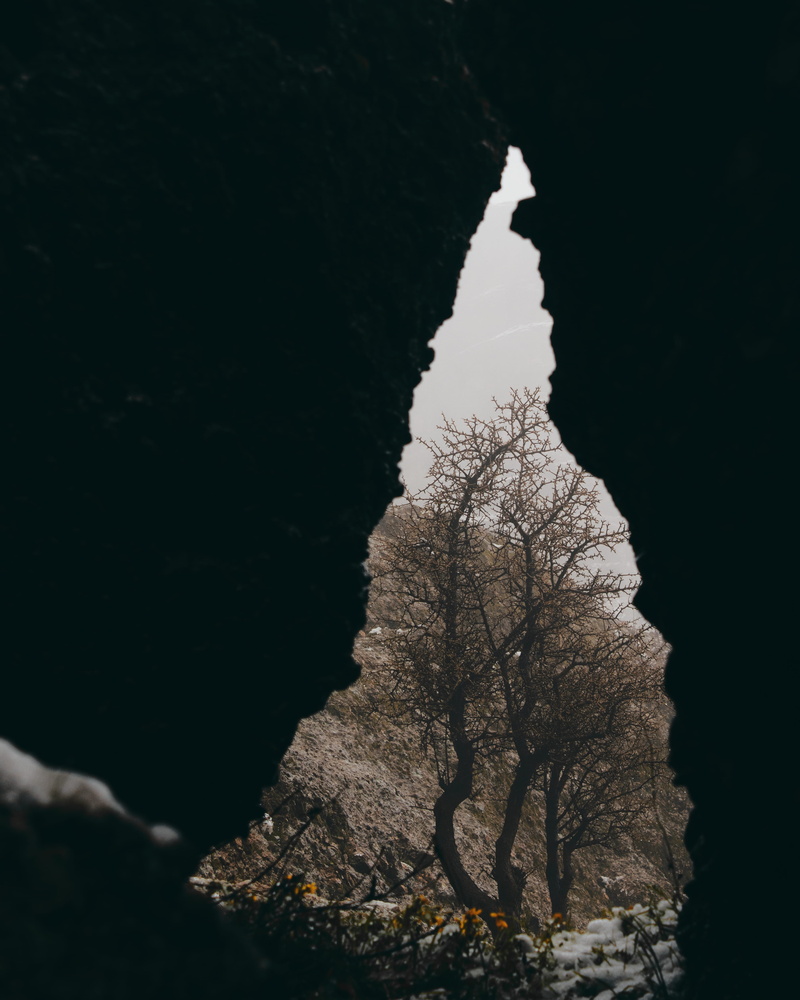 scenics - nature, rocks, snow, 4K, branch, sky, beauty in nature, plant, tranquil scene, land, no people, tower, night, fir, spire, abies, earth, non-urban scene